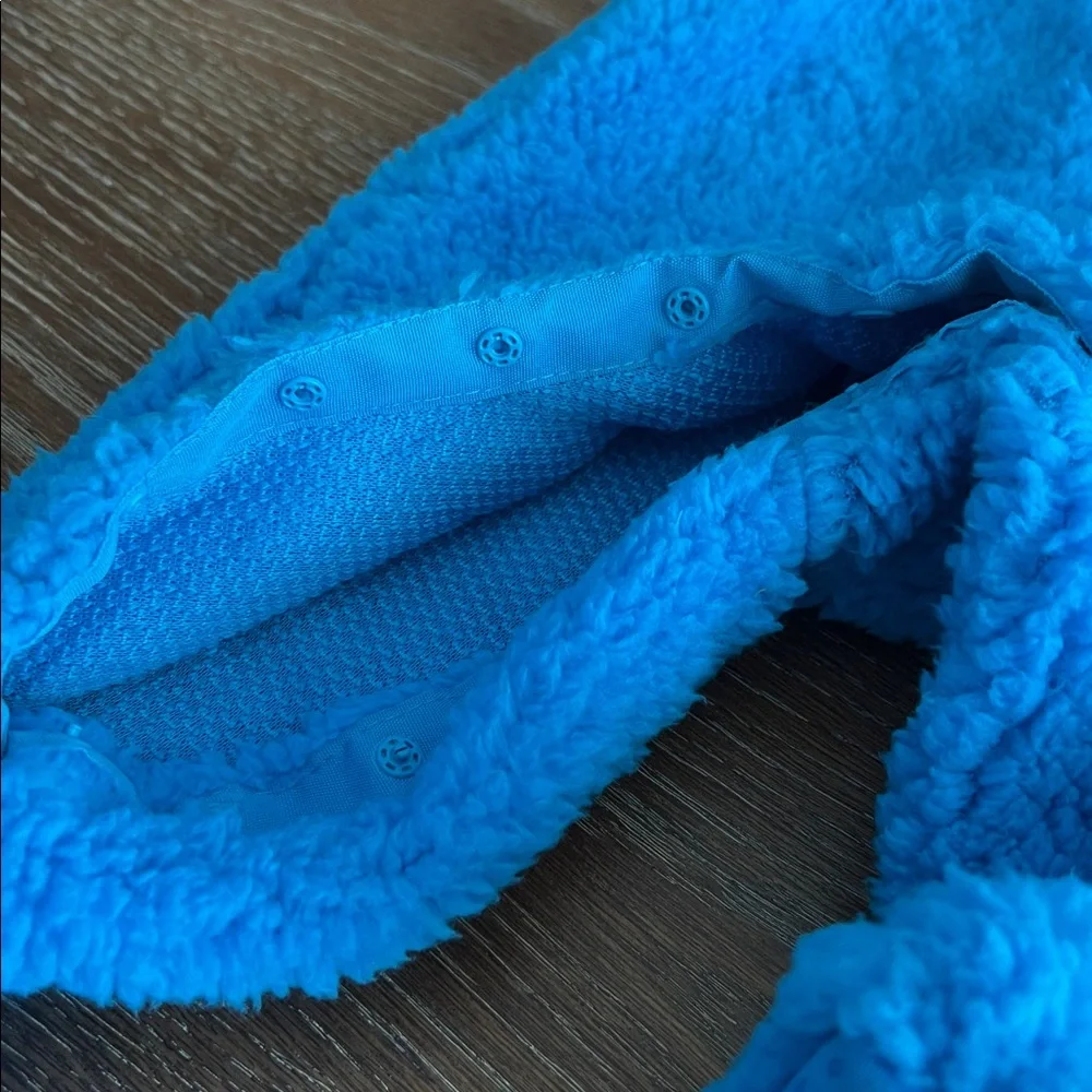 Sesame Street Cookie Monster costume